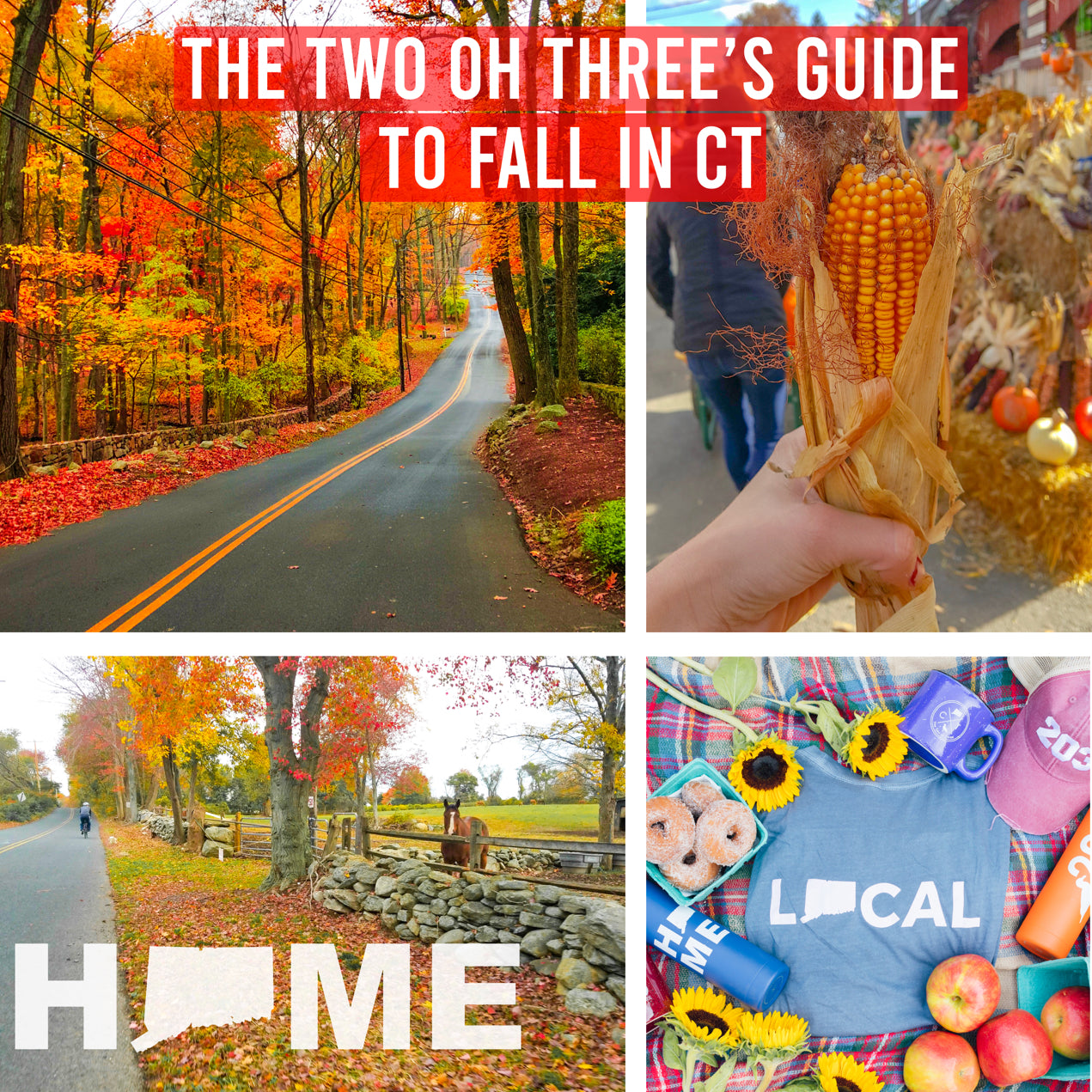#FallingForThe203 : The 203's Guide to Fall in Connecticut – The Two Oh ...