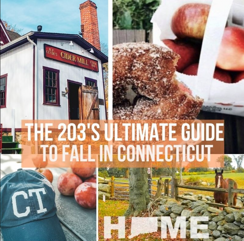 The 203's Ultimate CT Fall Bucket List