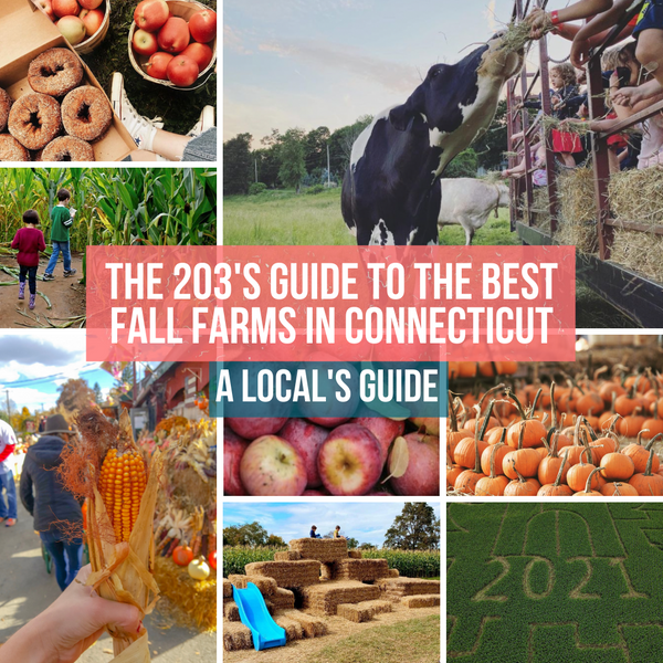The 203's Guide To The Best Fall Farms in Connecticut